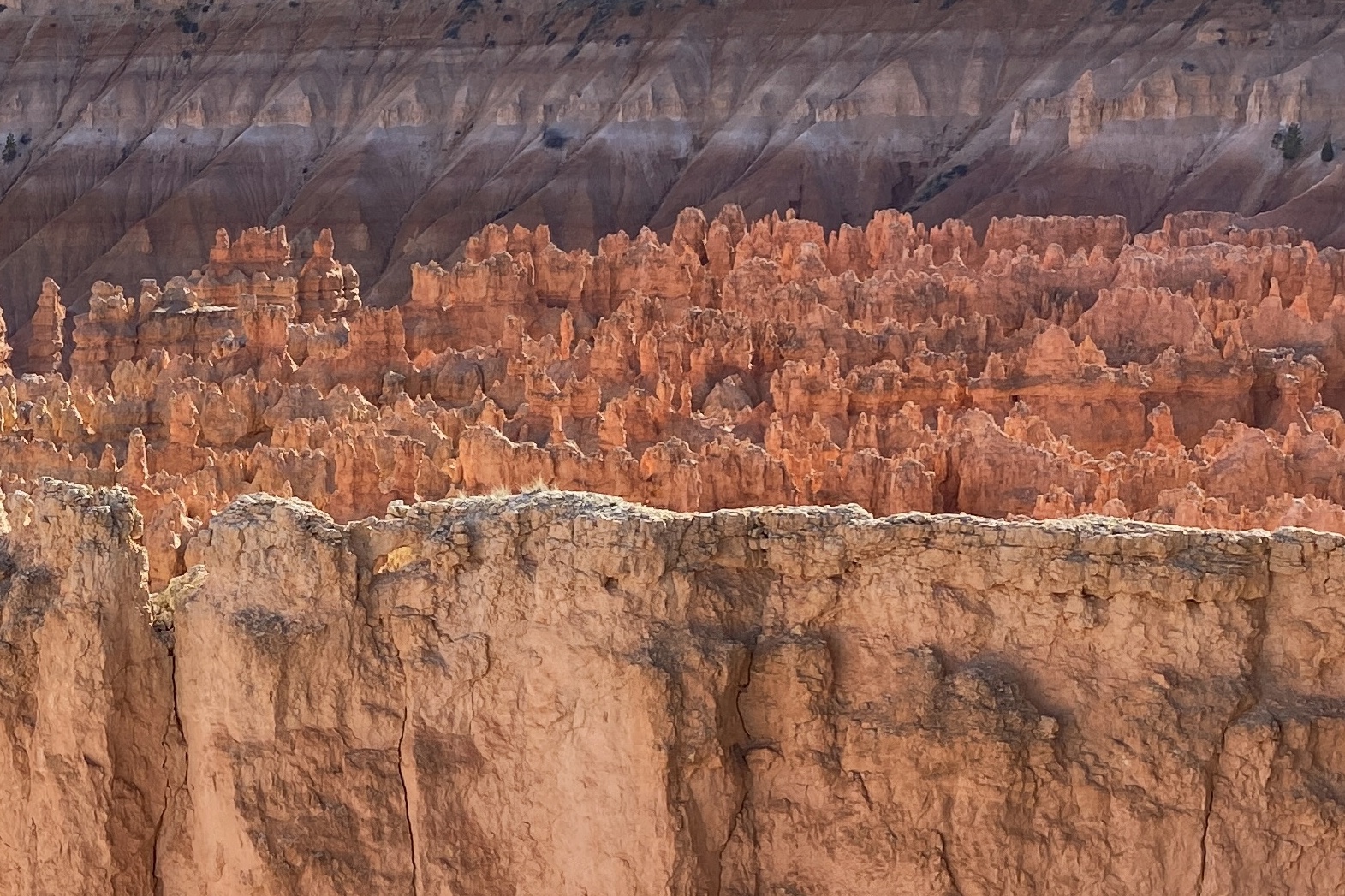 Bryce Canyon et ses hoodoos